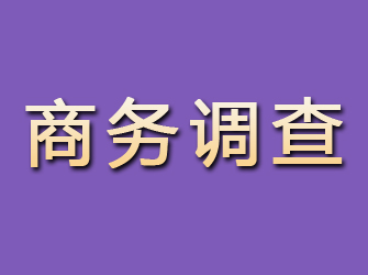 多伦商务调查